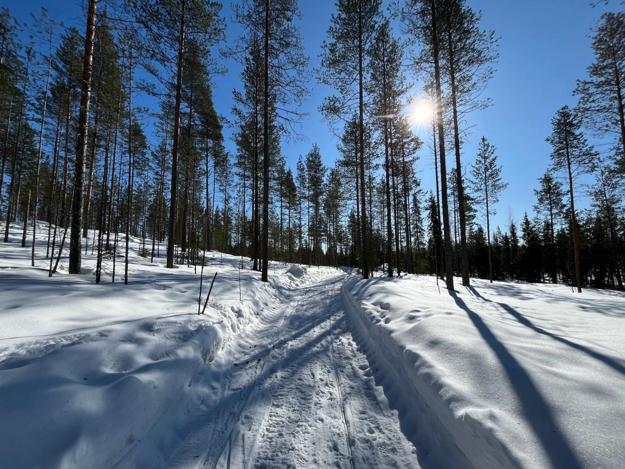 Log Cottages In 10 Min From Santa Claus Village-Sauna&Freeparking Rovaniemi Luaran gambar